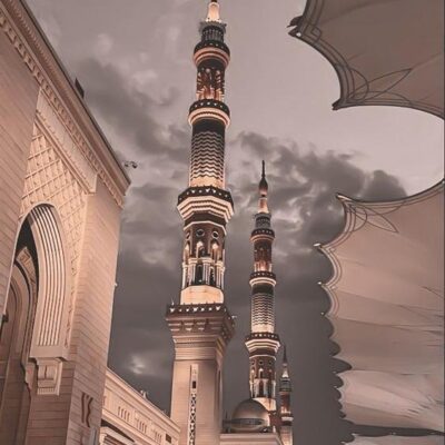 mohammad-mustafa-afzali